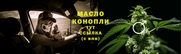 молекула духа Бронницы